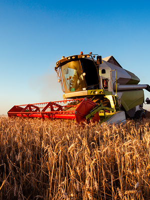 combine harvesting