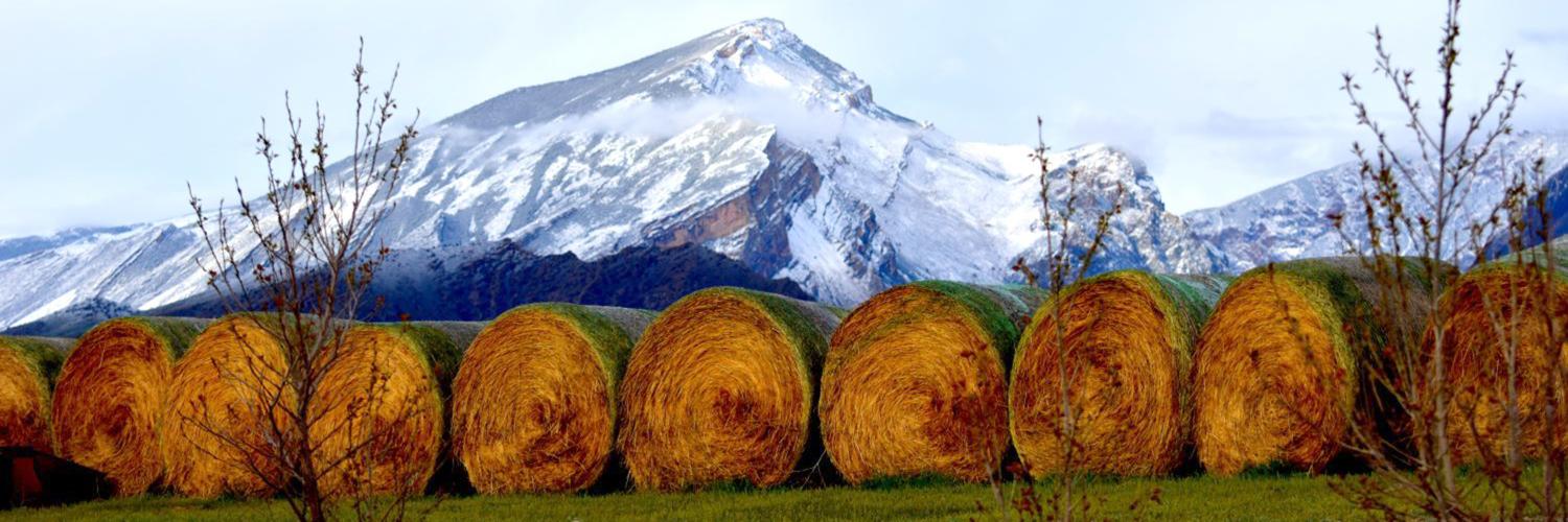 line of hay bales with mountains overlooking them