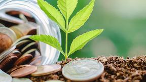 jar of coins by a plant